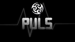 ♪ PULS | Slovian (prod. Jerpick)
