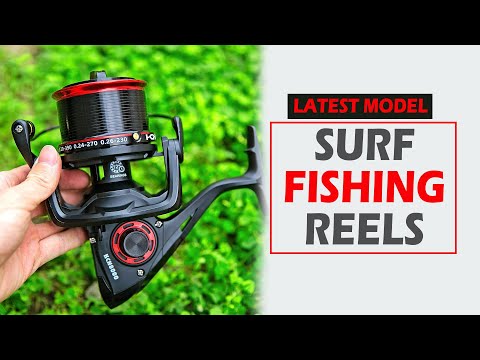 Best Surf Fishing Reels of Upcoming year