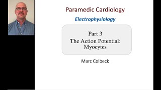 Cardiovascular Electrophysiology 3 - Action Potential of the Myocytes