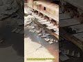 강철 트랙 패드 조립 및 정비 과정 #worker #process #machinery #repair #steel