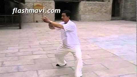 Learn the Taiji 85 Form