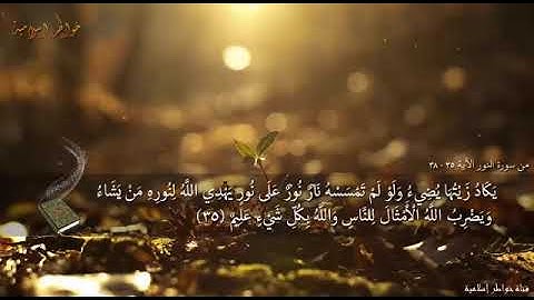 ⭕ سورة النور من الآية رقم 35 إلى 38 بصوت القارئ الشيخ اسلام صبحي💚🎧🌿