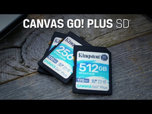 Thẻ SD Class 10 - UHS-I, U3, V30 - Canvas Go! Plus SD - Kingston Technology