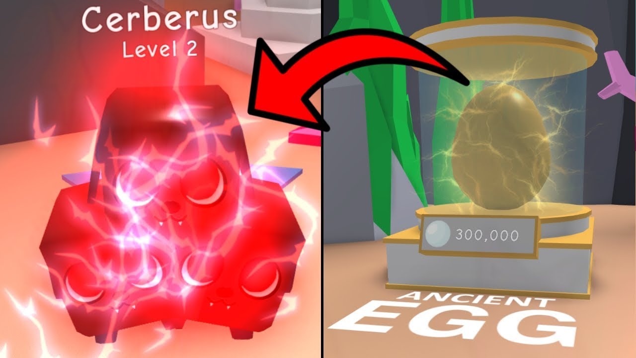 cerberus roblox hack website cerberus roblox hack website