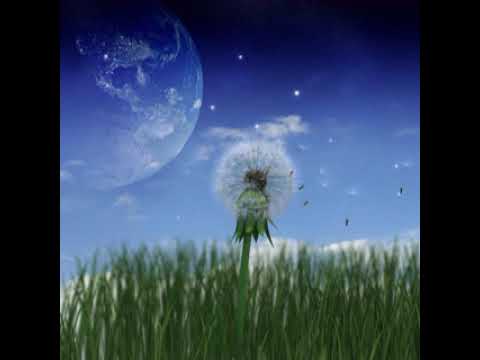셀바이뮤직   space cloud