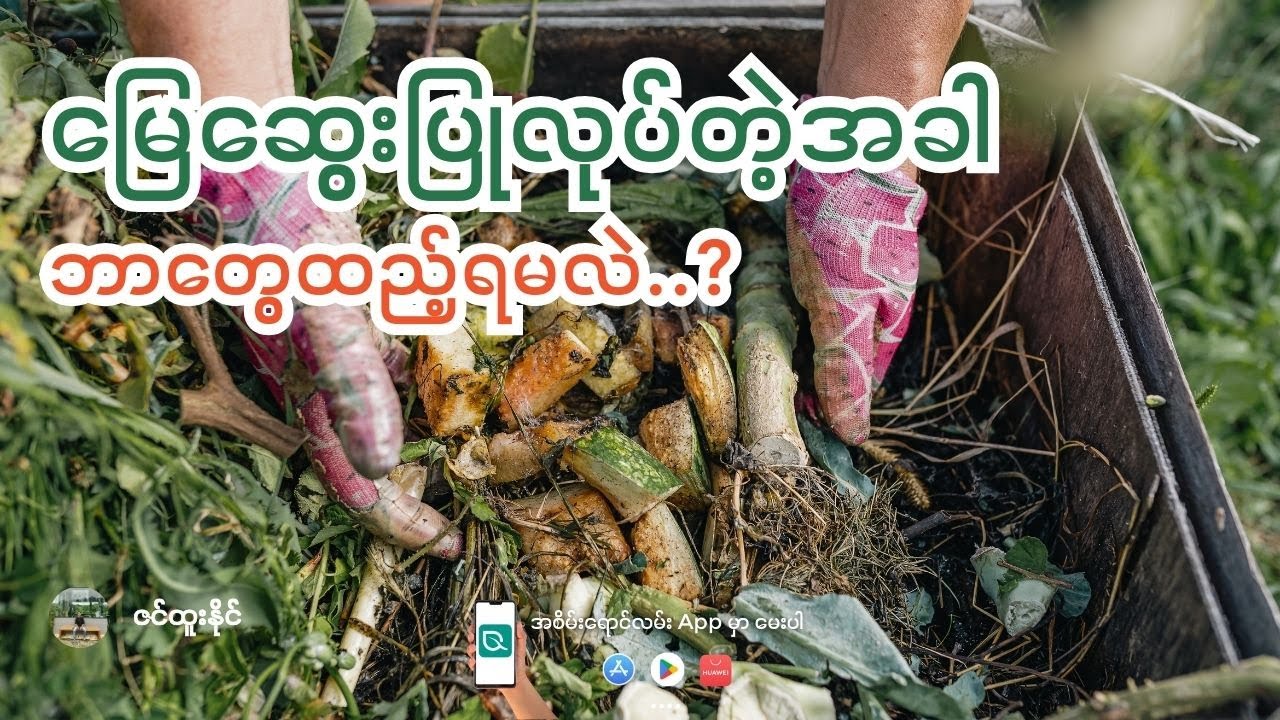 မြေဆွေးပြုလုပ်တဲ့အခါ ဘာတွေထည့်ရမလဲ?