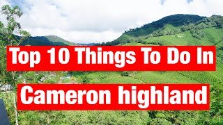 Travel Guide: Top 10 Things to do in CAMERON HIGHLAND, Malaysia