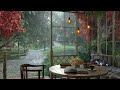 Garden porch ambience with relaxing gentle light rain sounds  for relaxation and studying