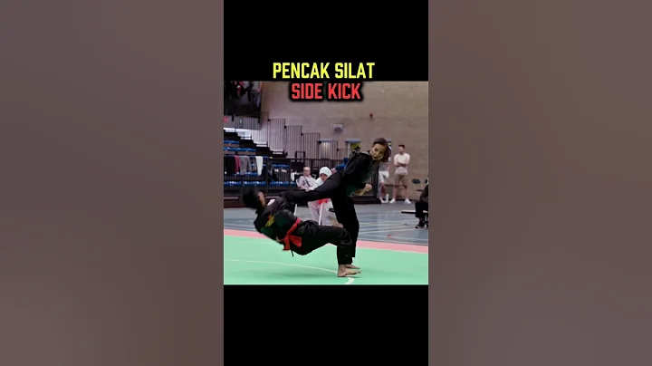 back kick #tutorial #shortsvideo #shortvideo #youtubeshorts #yt #ytshorts #shorts #usa #india #mma