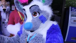 Confuzzled 2014 Part 1