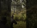 RDO varmint rifle