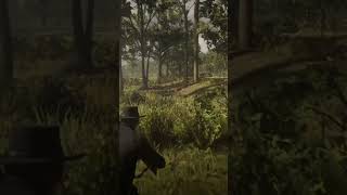 RDO varmint rifle