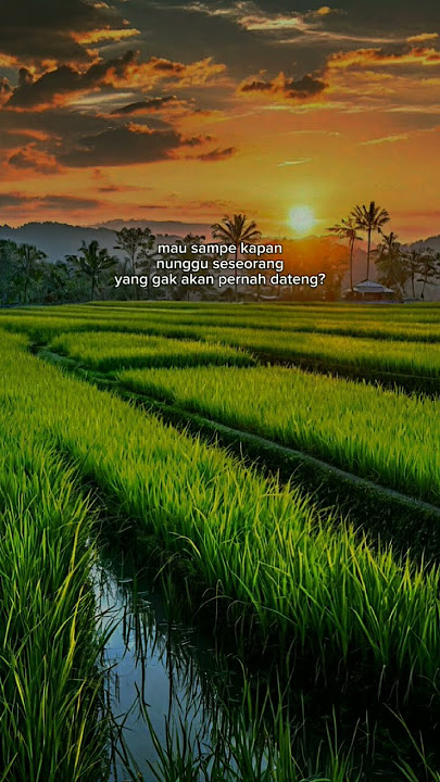 Menunggu #katakata #fyp #reminder #quotes #instagram #trend #trendtiktok