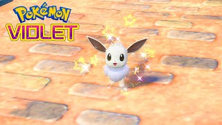 10 Shiny EEVEE in ONE Day? How? This is How! ▻ Pokemon Scarlet