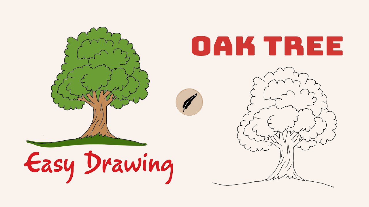 Deciduous Trees Drawing For Kids