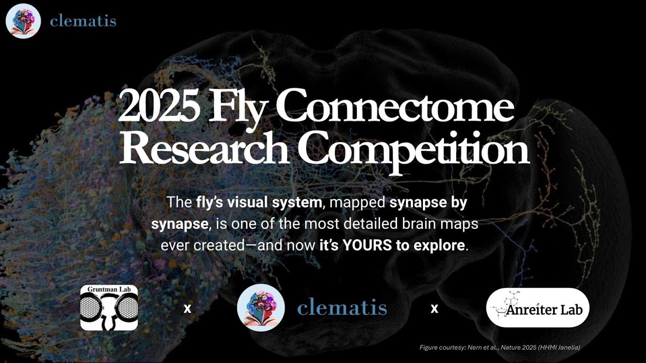 Workshop 2 – 2025 Fly Connectome Research Competition