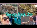 Seneca park zoo tour 2020  pandemic time 