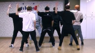 BTS - 'Boy In Luv' Dance Practice Mirrored