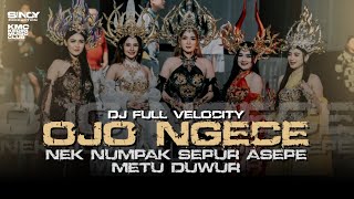 OJO NGECE - NEK NUMPAK SEPUR ASEPE METU DUWUR DJ FULL VELOCITY REMIX FYP TIKTOK KARNAVAL 2026