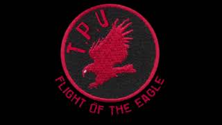 The Players Union - Flight Of The Eagle Playmore