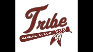 Tribe Gray 9u vs Tribe 9u 8/11/2023
