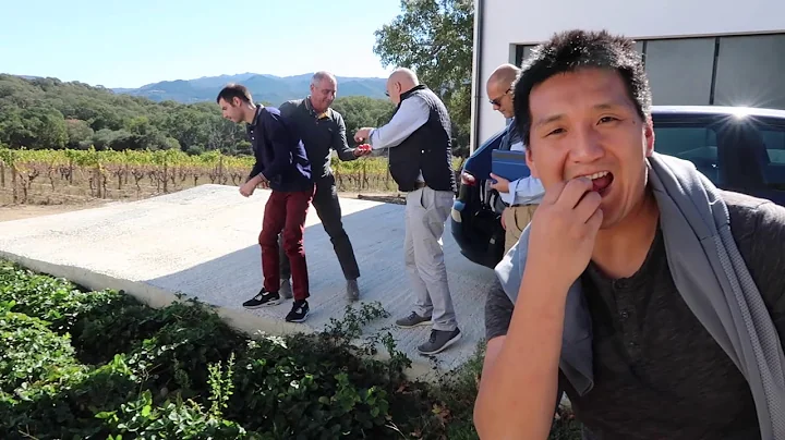 Italian Wine: The Vermentino Competition Sardinia