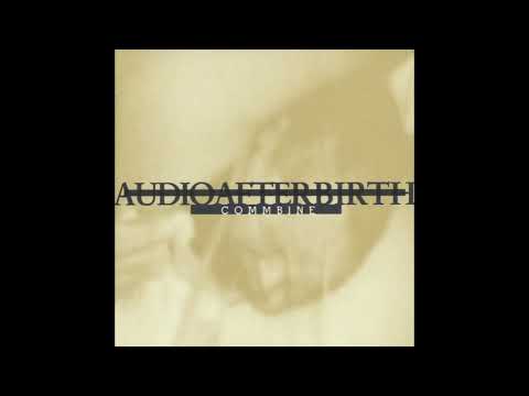Audioafterbirth - Facing West (1992)