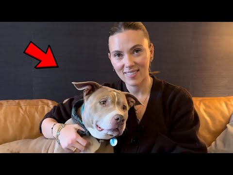 Scarlett Johansson Goes On Blind Date With A 12 Year Old Pittie