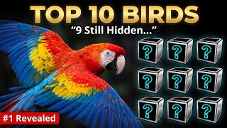 10 Most Beautiful Birds You Won't Believe Exist | Most Beautiful Birds