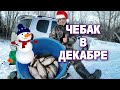 Рыбалка на чебака. Рыбалка перед новым годом!