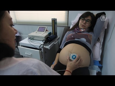В Латинской Америке беременным угрожает вирус Зика (новости)