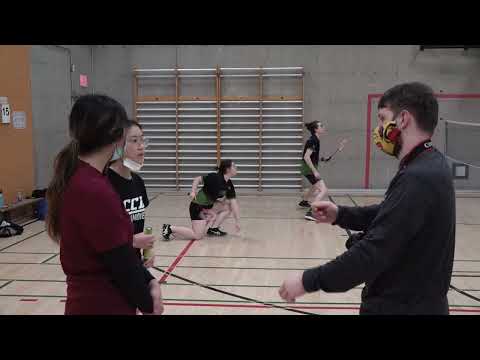 Badminton - Collège Charles-Lemoyne