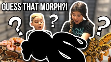 GUESS THAT SNAKE MORPH CHALLENGE w/ MY KIDS!!!