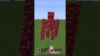 Bedrock golem vs Warden   !!???                           #minecraft#bestminecraftclips