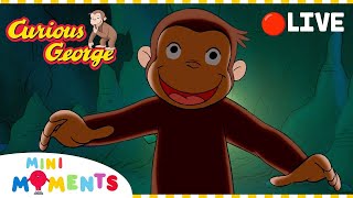 Curious George's Halloween 🎃 | Non-Stop Curious George | Mini Moments