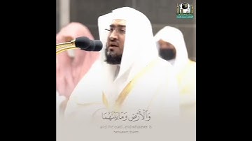 تلاوة الشيخ بندر بليلة ((سورة الزخرف))