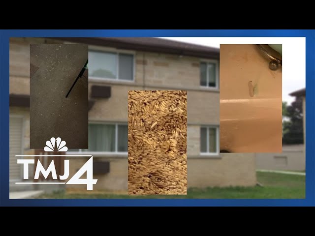 Milwaukee woman's maggot-infested apartment spurs calls to TMJ4 for help class=