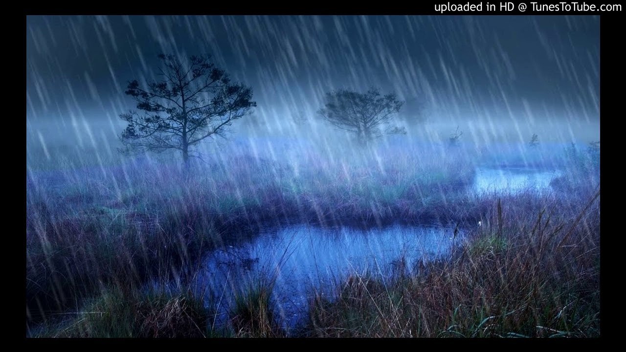 Raining rivers. Ливень в лесу ночью. Дождь на реке. Дождь в лесу ночью. Болото дождь.