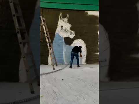 رسم الحصان العربي الأصيل حماصه البرنس  