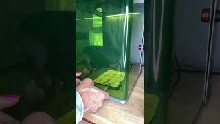 Making Collectible Tokens For The Crafty Challenge Club