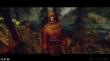 SKYRIM: Immersive World Encounters