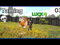 ARK Taming Thylacoleo Ep03 Making Industrial Items Forge Grill Fridge and More 😍🍀