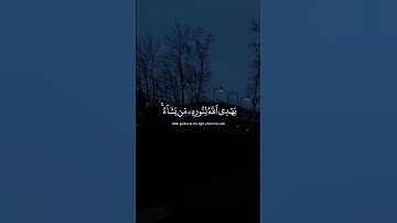 سورة النور #القارئ_شريف_مصطفى #قران #اكسبلور #اكسبلورهاشتاقات #راحة_نفسية #لايك #دويتو #duet