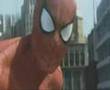 Heroes Spiderman Hulk Ironman Pelean