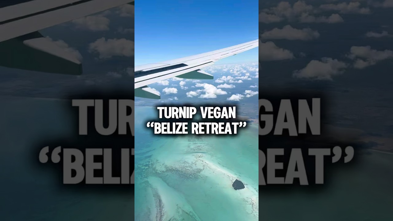 Guarda FOOD I ATE: VEGAN RETREAT IN BELIZE su YouTube Guarda FOOD I ATE: VEGAN RETREAT IN BELIZE su YouTube