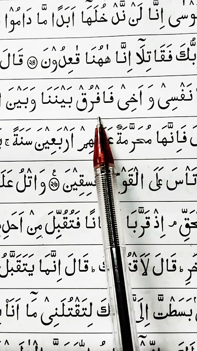 Surah Al Maidah Ayat 25 | #tilawati354 #youtubeshorts #surahmaidah #recitation #shorts