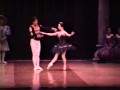 Black Swan Yoko & Nonoy