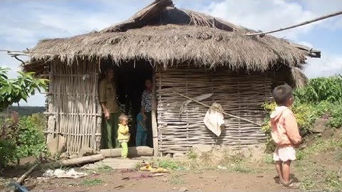 Xuân sum vầy - Tết sẻ chia - Gia cảnh