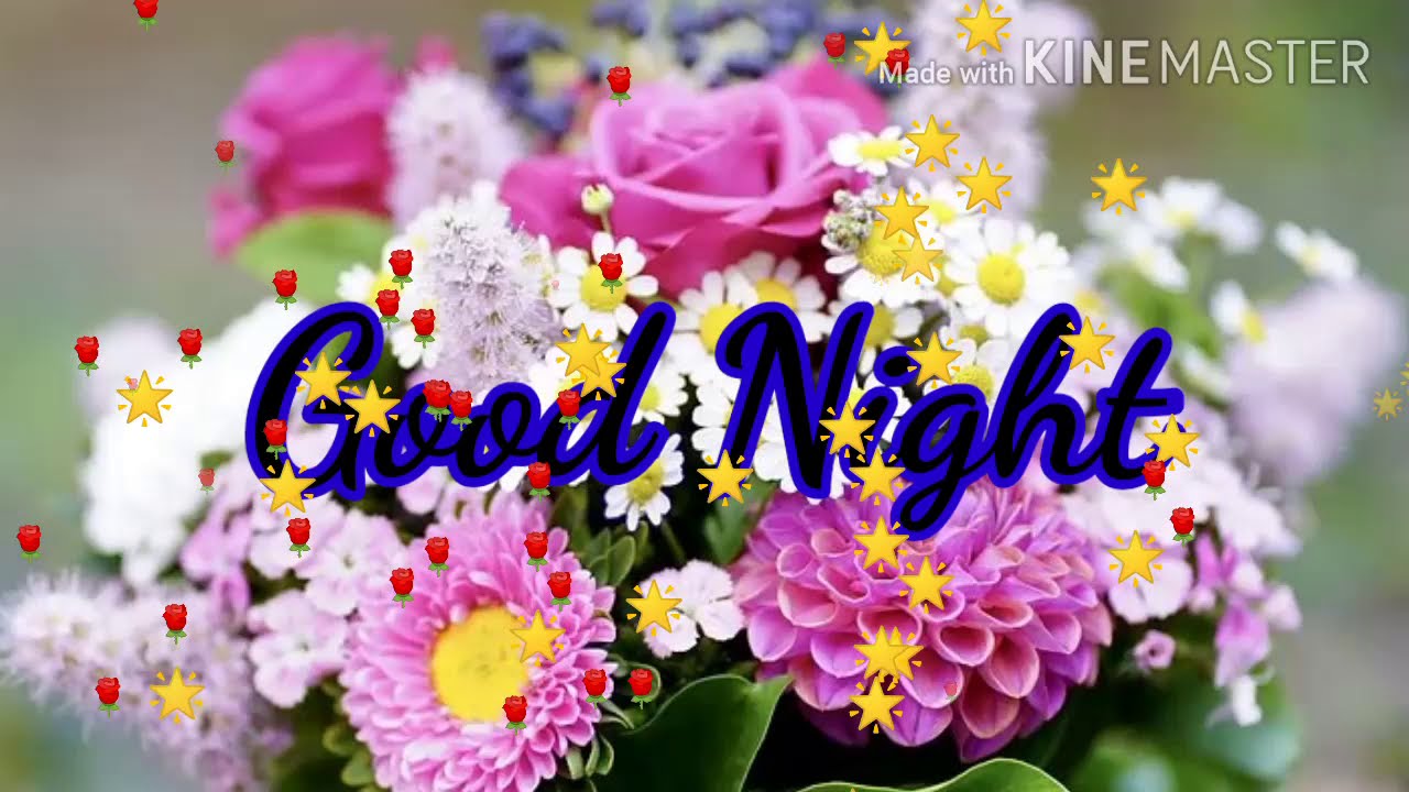 Good Night YouTube Video with beautiful flower images photos and music ...