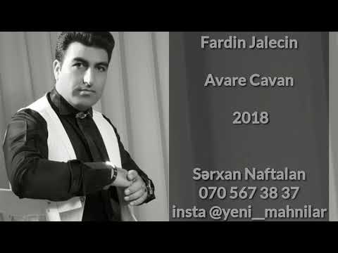 Fardin Jalecin - Avare Cavan